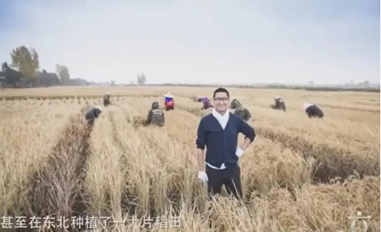 周杰林心如舌吻事件是怎么回事 周杰强吻林心如了吗