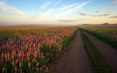 ​关于旅行的唯美句子，旅行语录经典短句