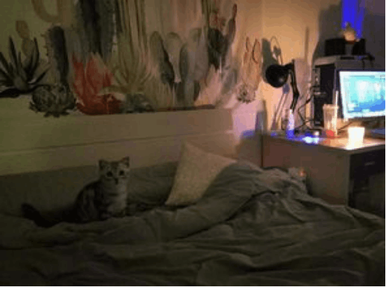 女子假死赖账(女子将女儿抛入河)