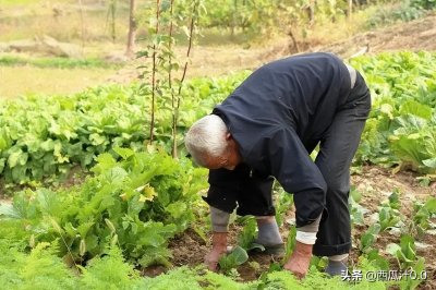 ​别总说年轻人不肯吃苦 不过是脱离之前的贫困生活罢了