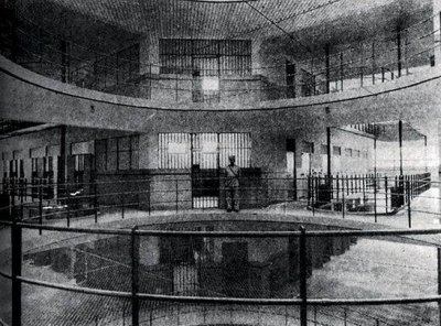 ​刀客杨佳(杨佳袭警高层的反应)