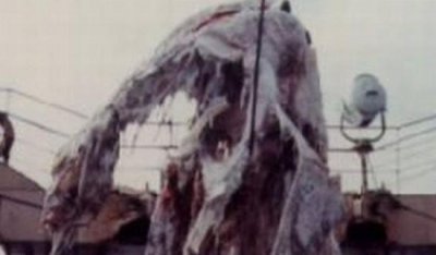 ​日原1977年海怪尸身事变，并没有是姥鲨_疑似存留史前匍匐径物