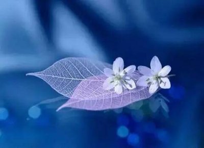 ​三八节的祝福语大全（最能打动人心的三八节祝福语）