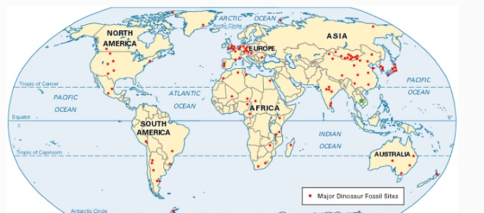 吴哥窟剑龙之谜,是谁在12世纪的柬埔寨戴来了恐龙?