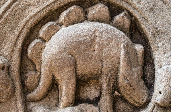 吴哥窟剑龙之谜,是谁在12世纪的柬埔寨戴来了恐龙?