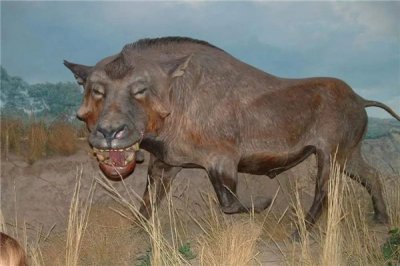 ​恐颌猪：生计在史前的恐惧动物（轻快一口咬碎骨头）