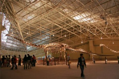 ​大鸭龙：表面和鸭子有点相似（有着很像的嘴巴很特殊）