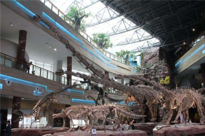 ​无稽龙：白垩世时代的小型恐龙（总体长仅2米）