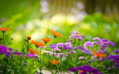 ​奖学金申请书范文，大学奖学金申请书400字