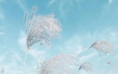 ​办公室搬迁通知怎么写(单位办公地点搬迁通告)