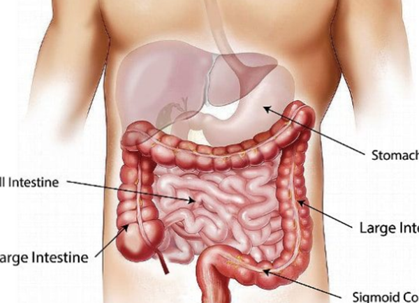 被枪弹挨中能活吗?被枪弹挨中的十大震动究竟