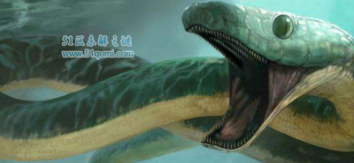 ​厚针龙:已毁灭的史前巨蛇 是新颖蛇类的祖宗吗?