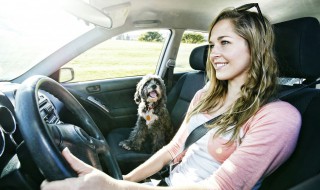 假扮成马萨乔任务怎么完成_汽车的主要作用