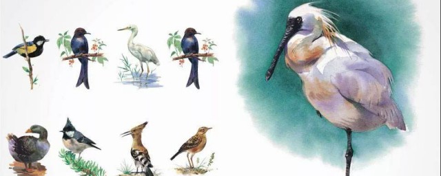 形态各异的近义词是什么_词语解释