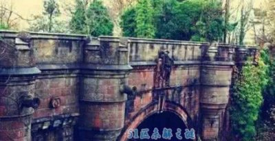 ​欧沃顿桥怪僻寻短见事变缘故是什么?狗狗何以遗失冷静跳桥?