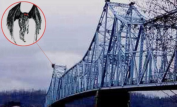 天蛾人涌现中国