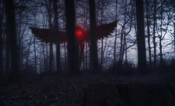 天蛾人涌现中国