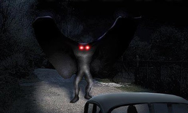 天蛾人涌现中国