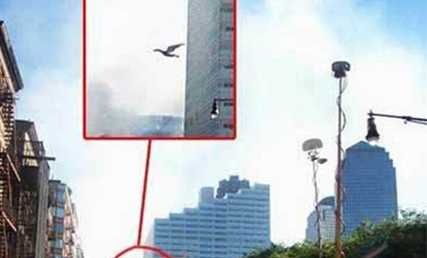 天蛾人涌现中国