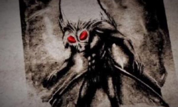 天蛾人涌现中国