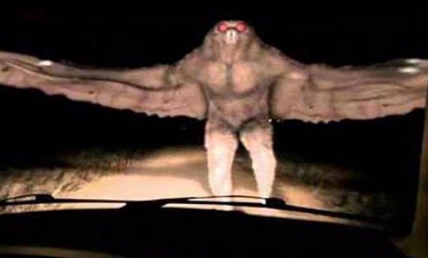 天蛾人涌现中国