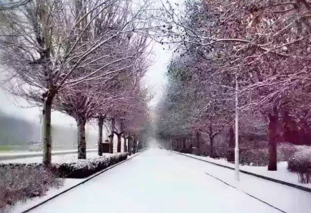 一片片雪花飘飘洒洒的像什么一样,雪花飘飘洒洒像什么