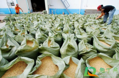 ​2020粮食紧缺是真的吗（中国会出现粮食短缺吗）