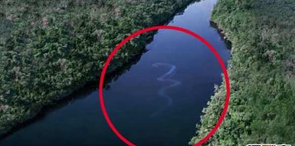 瞅世界上最长的大蛇 !卫星拍到世界上最大蛇
