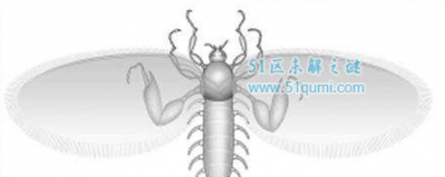 ​恐惧虫:很丑恶很和缓的生物 被证据是1.65亿年前的蚊子