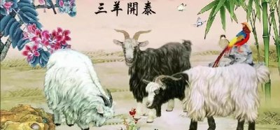 ​为什么属羊的人命不好（属羊的命不好是真的吗，真相是什么）