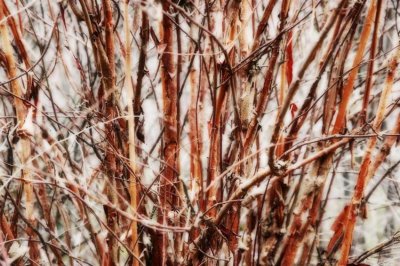 ​负荆请罪出自哪里（史记中负荆请罪的故事梗概）