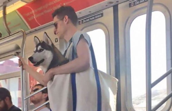 坐地铁哪些物品不行戴?地铁上创造的15件奇异物品