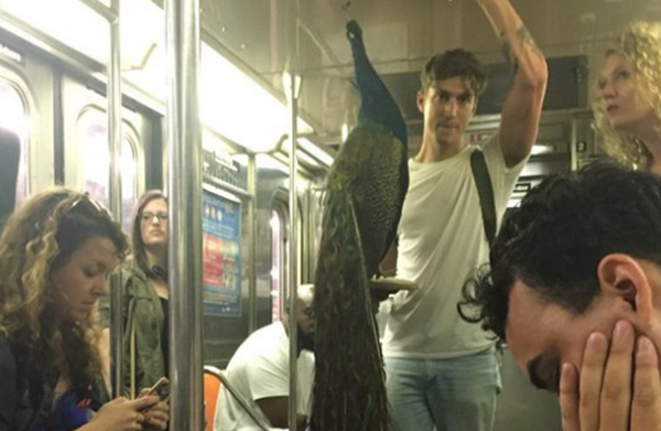 坐地铁哪些物品不行戴?地铁上创造的15件奇异物品