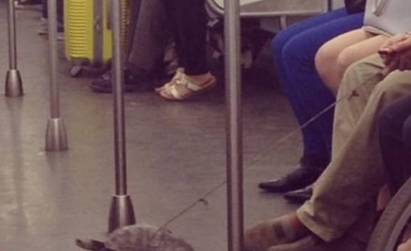 坐地铁哪些物品不行戴?地铁上创造的15件奇异物品