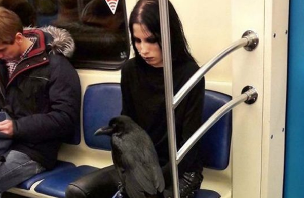 坐地铁哪些物品不行戴?地铁上创造的15件奇异物品