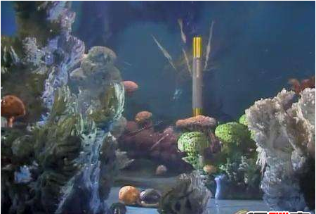 有人拍到了金箍棒，金箍棒惊现孙悟空古墓中