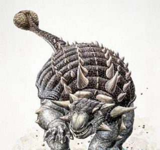 ​甲龙:一＂锤子＂挨出一吨力气的恐龙 甲龙和霸王龙哪个利害?