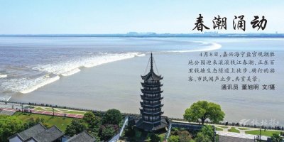 ​春潮涌动是什么意思（春潮涌动是啥）