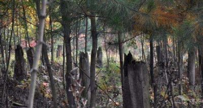 ​贵州九大未解之谜 空中怪车事变中国近代最神奇的UFO事变