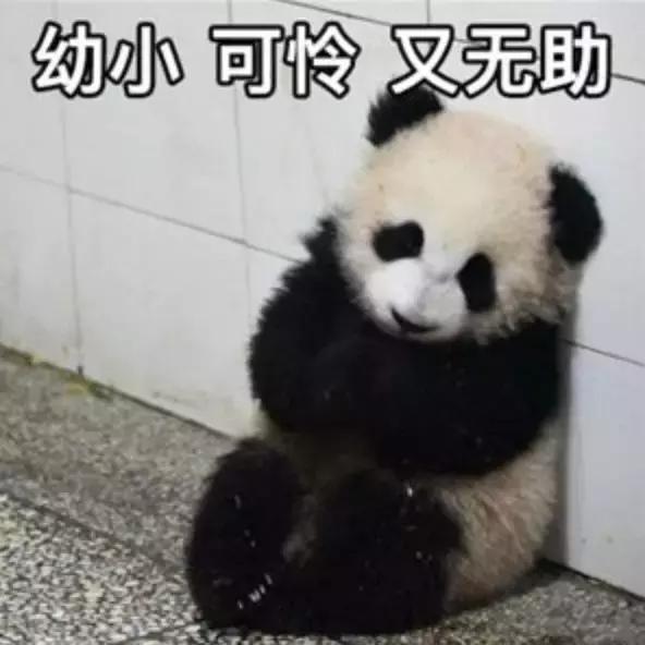 4d电影是什么样的效果（千万别看4D电影你们会后悔的）(2)