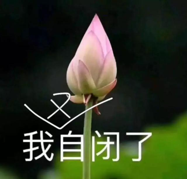 4d电影是什么样的效果（千万别看4D电影你们会后悔的）(5)