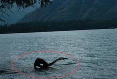 ​瓦屋山水怪之谜：头像鲶鱼，身躯像蟒蛇_身长20米