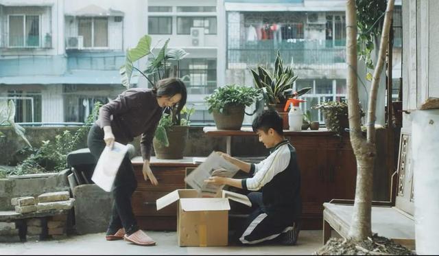 8月高质量电影片单推荐（让你一次看过瘾）(16)