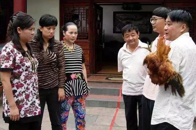 成都电视台生活节目(电视时代的网红)(5)