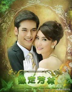 ​不一样的美男子泰国电视剧合集（泰国版森林里的野蛮女友名门绅士之缘定芳林）