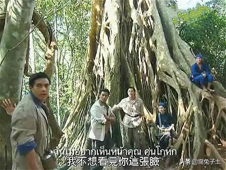不一样的美男子泰国电视剧合集(泰国版森林里的野蛮女友名门绅士之缘定芳林)(31)