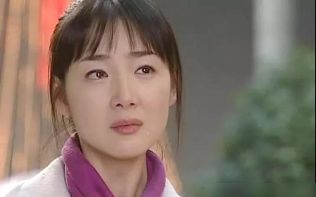 蔡琳最早电视剧有哪些(当年韩剧女配颜值好高)(24)