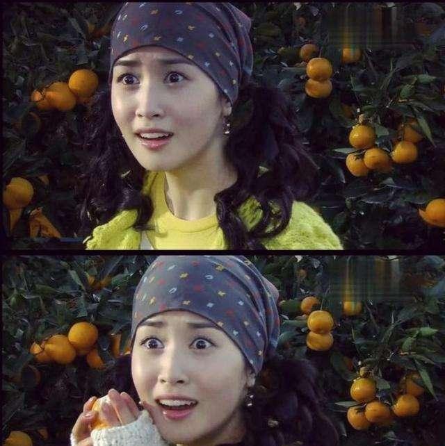蔡琳最早电视剧有哪些(当年韩剧女配颜值好高)(17)