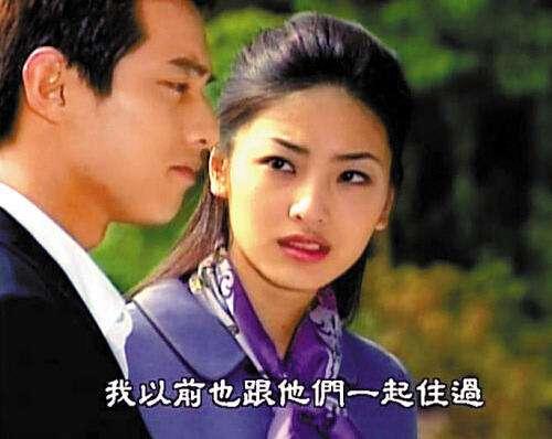 蔡琳最早电视剧有哪些(当年韩剧女配颜值好高)(6)