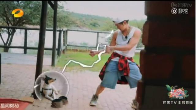 陈柏霖最新电影消息(从花少流放者到睡着的王子)(31)